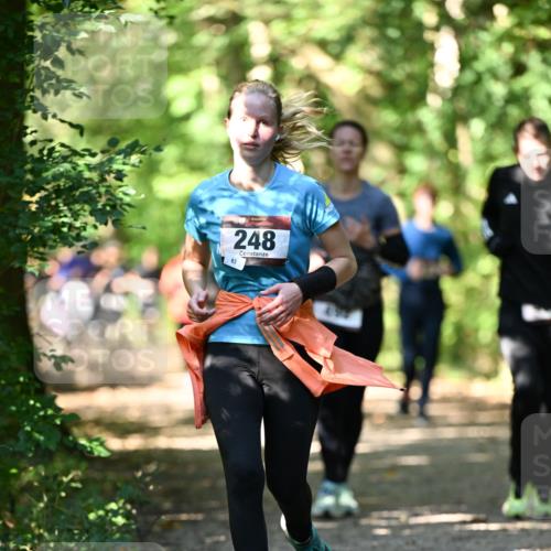 06.10.2024 - Bramfelder Halbmarathon 2024 Dr. Thomas Lammeyer http://msf.ph/oto/7342043 06.10.2024 10:52:18 Laufen 83, 248 meine-sportfotos.de