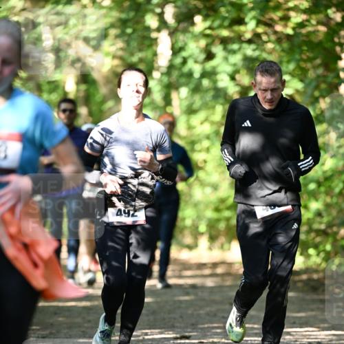 06.10.2024 - Bramfelder Halbmarathon 2024 Dr. Thomas Lammeyer http://msf.ph/oto/7342050 06.10.2024 10:52:19 Laufen 492 meine-sportfotos.de
