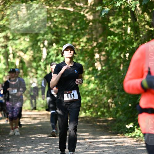 06.10.2024 - Bramfelder Halbmarathon 2024 Dr. Thomas Lammeyer http://msf.ph/oto/7342111 06.10.2024 10:52:36 Laufen 218, 111 meine-sportfotos.de