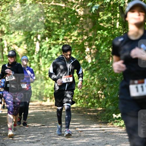 06.10.2024 - Bramfelder Halbmarathon 2024 Dr. Thomas Lammeyer http://msf.ph/oto/7342123 06.10.2024 10:52:38 Laufen 383, 18, 44, 11 meine-sportfotos.de
