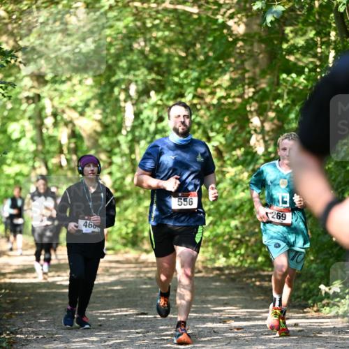 06.10.2024 - Bramfelder Halbmarathon 2024 Dr. Thomas Lammeyer http://msf.ph/oto/7342225 06.10.2024 10:52:49 Laufen 468, 556, 269 meine-sportfotos.de