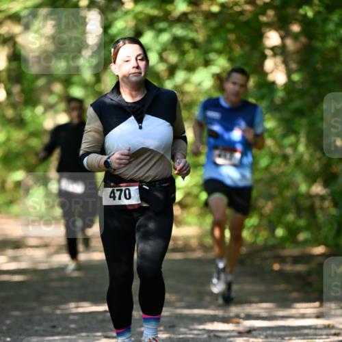 06.10.2024 - Bramfelder Halbmarathon 2024 Dr. Thomas Lammeyer http://msf.ph/oto/7342285 06.10.2024 10:52:55 Laufen 470 meine-sportfotos.de