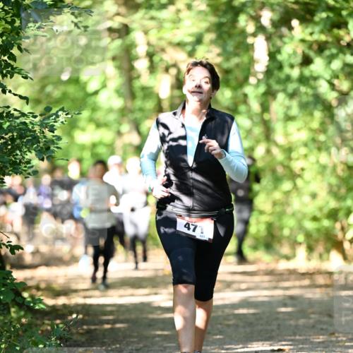 06.10.2024 - Bramfelder Halbmarathon 2024 Dr. Thomas Lammeyer http://msf.ph/oto/7342350 06.10.2024 10:53:03 Laufen 471, 223 meine-sportfotos.de