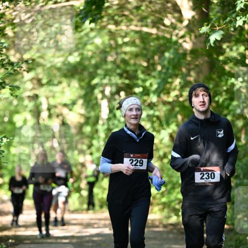 06.10.2024 - Bramfelder Halbmarathon 2024 Dr. Thomas Lammeyer http://msf.ph/oto/7342497 06.10.2024 10:53:26 Laufen 229, 230 meine-sportfotos.de