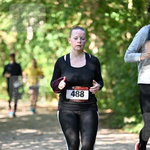 06.10.2024 - Bramfelder Halbmarathon 2024 Dr. Thomas Lammeyer http://msf.ph/oto/7342606 06.10.2024 10:53:38 Laufen 488 meine-sportfotos.de