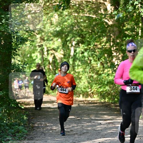 06.10.2024 - Bramfelder Halbmarathon 2024 Dr. Thomas Lammeyer http://msf.ph/oto/7343143 06.10.2024 10:54:39 Laufen 344, 494 meine-sportfotos.de