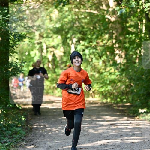 06.10.2024 - Bramfelder Halbmarathon 2024 Dr. Thomas Lammeyer http://msf.ph/oto/7343151 06.10.2024 10:54:40 Laufen 494 meine-sportfotos.de