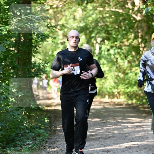 06.10.2024 - Bramfelder Halbmarathon 2024 Dr. Thomas Lammeyer http://msf.ph/oto/7343176 06.10.2024 10:54:44 Laufen  meine-sportfotos.de