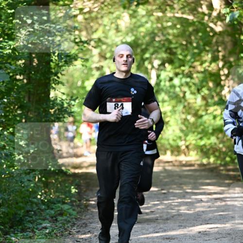 06.10.2024 - Bramfelder Halbmarathon 2024 Dr. Thomas Lammeyer http://msf.ph/oto/7343177 06.10.2024 10:54:45 Laufen 84, 72 meine-sportfotos.de