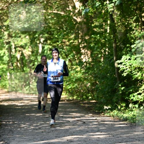 06.10.2024 - Bramfelder Halbmarathon 2024 Dr. Thomas Lammeyer http://msf.ph/oto/7343226 06.10.2024 10:55:01 Laufen 564 meine-sportfotos.de