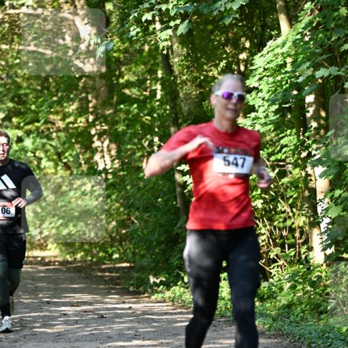 06.10.2024 - Bramfelder Halbmarathon 2024 Dr. Thomas Lammeyer http://msf.ph/oto/7343302 06.10.2024 10:55:39 Laufen 06, 547 meine-sportfotos.de