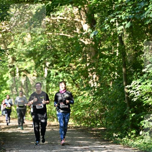 06.10.2024 - Bramfelder Halbmarathon 2024 Dr. Thomas Lammeyer http://msf.ph/oto/7343332 06.10.2024 10:55:50 Laufen 226 meine-sportfotos.de