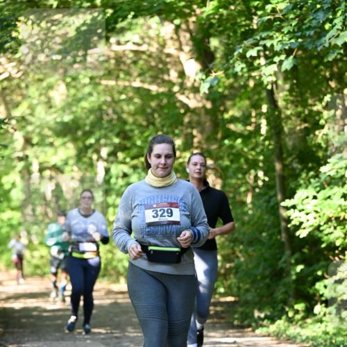 06.10.2024 - Bramfelder Halbmarathon 2024 Dr. Thomas Lammeyer http://msf.ph/oto/7343373 06.10.2024 10:56:00 Laufen 329 meine-sportfotos.de