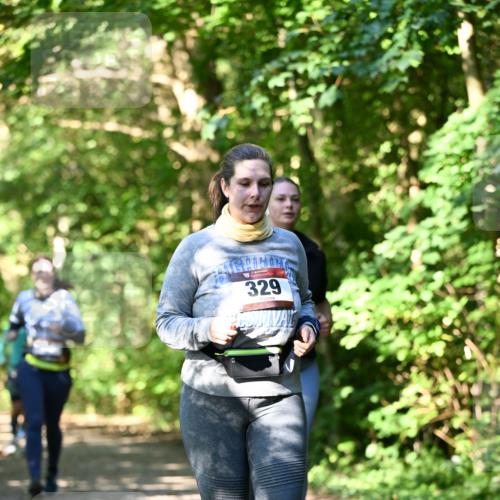 06.10.2024 - Bramfelder Halbmarathon 2024 Dr. Thomas Lammeyer http://msf.ph/oto/7343380 06.10.2024 10:56:01 Laufen 329 meine-sportfotos.de