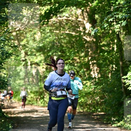 06.10.2024 - Bramfelder Halbmarathon 2024 Dr. Thomas Lammeyer http://msf.ph/oto/7343386 06.10.2024 10:56:03 Laufen 8, 360 meine-sportfotos.de