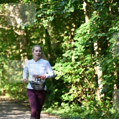 06.10.2024 - Bramfelder Halbmarathon 2024 Dr. Thomas Lammeyer http://msf.ph/oto/7343399 06.10.2024 10:56:15 Laufen 158 meine-sportfotos.de