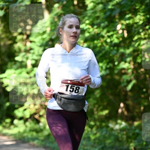 06.10.2024 - Bramfelder Halbmarathon 2024 Dr. Thomas Lammeyer http://msf.ph/oto/7343409 06.10.2024 10:56:16 Laufen 3, 158 meine-sportfotos.de