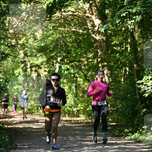 06.10.2024 - Bramfelder Halbmarathon 2024 Dr. Thomas Lammeyer http://msf.ph/oto/7343427 06.10.2024 10:56:27 Laufen 169, 278 meine-sportfotos.de
