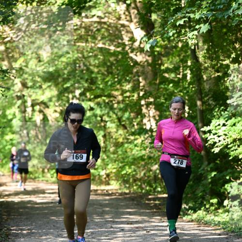 06.10.2024 - Bramfelder Halbmarathon 2024 Dr. Thomas Lammeyer http://msf.ph/oto/7343435 06.10.2024 10:56:28 Laufen 169, 278 meine-sportfotos.de