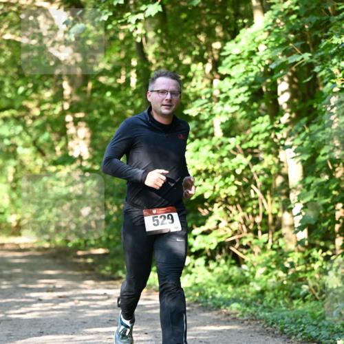 06.10.2024 - Bramfelder Halbmarathon 2024 Dr. Thomas Lammeyer http://msf.ph/oto/7343555 06.10.2024 10:57:23 Laufen 529 meine-sportfotos.de