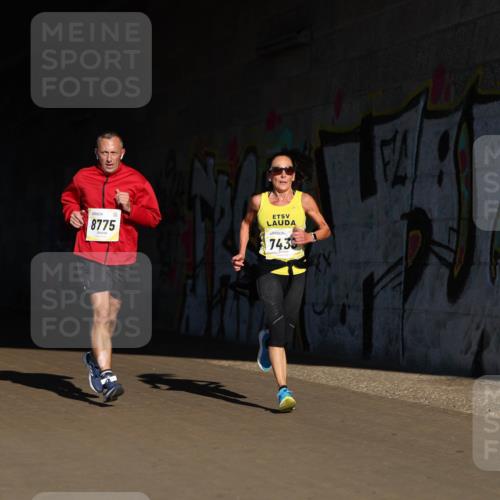 06.10.2024 - 19. swb-Marathon Bremen Michael Strokosch http://msf.ph/oto/7344541 06.10.2024 10:13:20 Laufen 024, 8329, 8775, 7433 meine-sportfotos.de