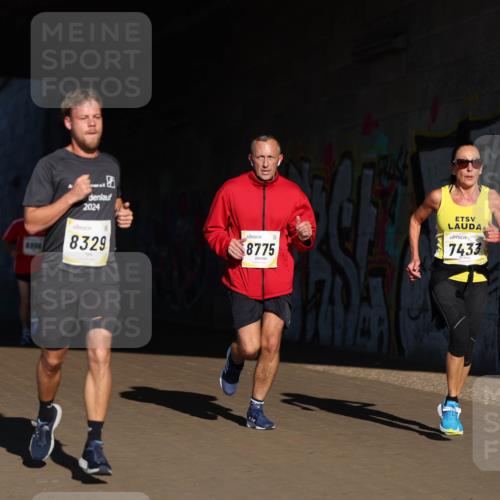 06.10.2024 - 19. swb-Marathon Bremen Michael Strokosch http://msf.ph/oto/7344543 06.10.2024 10:13:21 Laufen 8806, 2024, 8329, 8775, 7433 meine-sportfotos.de