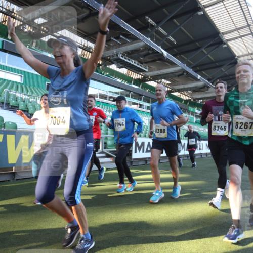06.10.2024 - 19. swb-Marathon Bremen Yannick Fuchs http://msf.ph/oto/7362674 06.10.2024 10:31:22 Laufen im Stadion 7004, 7044, 7250, 7362, 7439, 7467, 7545, 7546, 7659, 7730, 7785, 7806, 7947, 7990, 8014, 8040, 8058, 8237, 8267, 8268, 8274, 8346, 8388, 8433, 8459, 8512, 8520, 8521, 8538, 8553, 8586, 8605, 8614, 8624, 8633, 8634, 8646, 8674, 8676, 8677, 8710, 8717, 8761, 8776, 8807, 8823, 8883, 8958, 8971, 8998, 9012, 9037, 9075, 9119, 9131 meine-sportfotos.de