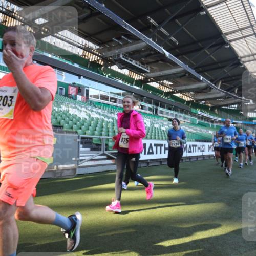 06.10.2024 - 19. swb-Marathon Bremen Yannick Fuchs http://msf.ph/oto/7364156 06.10.2024 10:34:32 Laufen im Stadion 7048, 7156, 7221, 7223, 7242, 7255, 7262, 7307, 7352, 7377, 7383, 7395, 7413, 7436, 7443, 7446, 7502, 7507, 7532, 7587, 7679, 7680, 7718, 7722, 7745, 7757, 7775, 7844, 7909, 7910, 7918, 7926, 7929, 7954, 7971, 7980, 7981, 7987, 8005, 8006, 8017, 8027, 8085, 8107, 8115, 8118, 8122, 8152, 8166, 8203, 8229, 8246, 8270, 8283, 8338, 8363, 8382, 8398, 8472, 8494, 8495, 8496, 8539, 8541, 8542, 8550, 8572, 8644, 8670, 8678, 8707, 8736, 8839, 9015 meine-sportfotos.de
