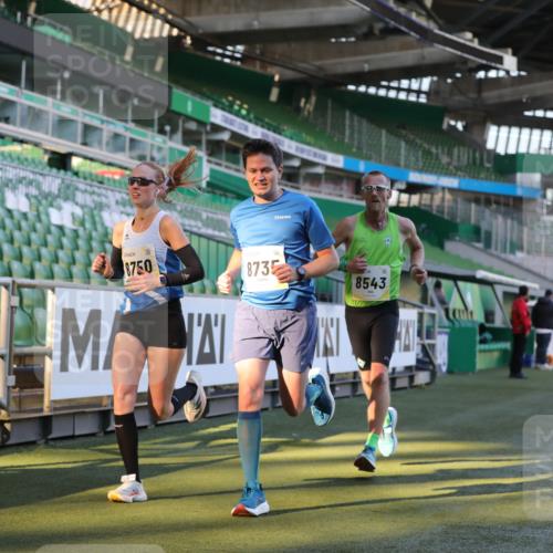 06.10.2024 - 19. swb-Marathon Bremen Yannick Fuchs http://msf.ph/oto/7377725 06.10.2024 10:19:01 Laufen im Stadion 7190, 7247, 7838, 8300, 8543, 8664, 8735, 8750 meine-sportfotos.de