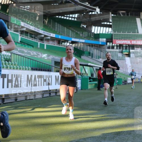 06.10.2024 - 19. swb-Marathon Bremen Yannick Fuchs http://msf.ph/oto/7381995 06.10.2024 10:22:06 Laufen im Stadion 7019, 7376, 7646, 7655, 7839, 7963, 8198, 8292, 8511, 8583, 8631, 8755, 8781, 8797, 8956 meine-sportfotos.de