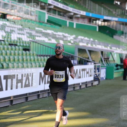 06.10.2024 - 19. swb-Marathon Bremen Yannick Fuchs http://msf.ph/oto/7382568 06.10.2024 10:22:55 Laufen im Stadion 7105, 7157, 7649, 7993, 8275, 8341, 8466, 9033, 9036, 9087, 9122 meine-sportfotos.de