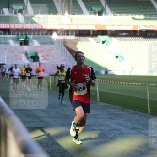 06.10.2024 - 19. swb-Marathon Bremen Yannick Fuchs http://msf.ph/oto/7385555 06.10.2024 10:25:44 Laufen im Stadion 7141, 7260, 7294, 7429, 7433, 7496, 7548, 7793, 7826, 7906, 8177, 8228, 8242, 8301, 8412, 8478, 8481, 8492, 8497, 8659, 8666, 8671, 8672, 8680, 8713, 8715, 8749, 8806, 8812, 8905, 8975, 9061 meine-sportfotos.de