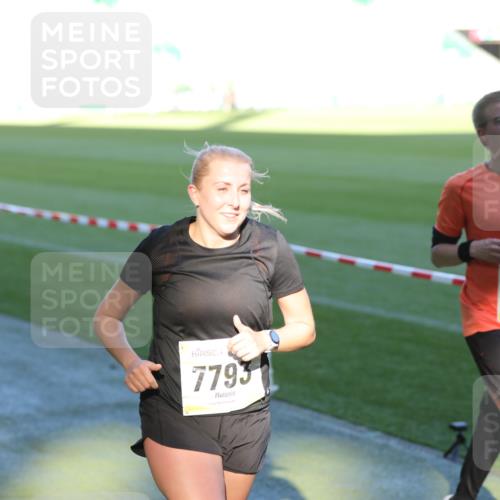 06.10.2024 - 19. swb-Marathon Bremen Yannick Fuchs http://msf.ph/oto/7385778 06.10.2024 10:25:52 Laufen im Stadion 7141, 7294, 7429, 7433, 7485, 7496, 7548, 7771, 7793, 7826, 7906, 8075, 8177, 8242, 8301, 8426, 8481, 8492, 8497, 8555, 8659, 8666, 8671, 8672, 8713, 8715, 8775, 8793, 8806, 8812, 8905, 9034, 9061 meine-sportfotos.de