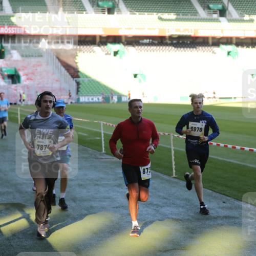 06.10.2024 - 19. swb-Marathon Bremen Yannick Fuchs http://msf.ph/oto/7386985 06.10.2024 10:26:25 Laufen im Stadion 7045, 7141, 7327, 7403, 7414, 7429, 7485, 7508, 7576, 7720, 7771, 7874, 7978, 8075, 8177, 8192, 8301, 8321, 8376, 8426, 8452, 8555, 8578, 8601, 8733, 8775, 8793, 8814, 8870, 8913, 8970, 8973, 8996, 8997, 9000, 9025, 9034, 9051, 9054, 9084 meine-sportfotos.de