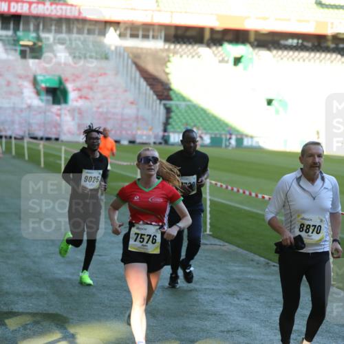 06.10.2024 - 19. swb-Marathon Bremen Yannick Fuchs http://msf.ph/oto/7387437 06.10.2024 10:26:35 Laufen im Stadion 7045, 7327, 7403, 7414, 7508, 7576, 7720, 7874, 7978, 8075, 8192, 8321, 8376, 8426, 8452, 8578, 8601, 8652, 8733, 8814, 8870, 8913, 8970, 8973, 8996, 8997, 9000, 9025, 9051, 9054, 9070, 9084 meine-sportfotos.de