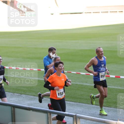 06.10.2024 - 19. swb-Marathon Bremen Yannick Fuchs http://msf.ph/oto/7387787 06.10.2024 10:26:58 Laufen im Stadion 7008, 7491, 7576, 7720, 7874, 7887, 7953, 8103, 8172, 8238, 8239, 8335, 8452, 8460, 8475, 8561, 8567, 8568, 8578, 8580, 8585, 8636, 8645, 8652, 8732, 8817, 8870, 8904, 9016, 9025, 9032, 9070, 9110 meine-sportfotos.de