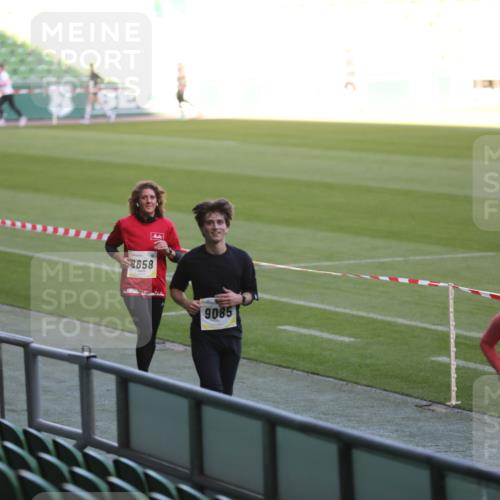 06.10.2024 - 19. swb-Marathon Bremen Yannick Fuchs http://msf.ph/oto/7388022 06.10.2024 10:27:16 Laufen im Stadion 7008, 7052, 7491, 7560, 7673, 7717, 7833, 7887, 7953, 8103, 8150, 8172, 8238, 8239, 8335, 8460, 8475, 8561, 8567, 8568, 8580, 8585, 8610, 8635, 8636, 8645, 8652, 8658, 8732, 8764, 8774, 8777, 8817, 8856, 8901, 8904, 8980, 9016, 9027, 9032, 9085, 9110 meine-sportfotos.de