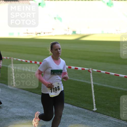 06.10.2024 - 19. swb-Marathon Bremen Yannick Fuchs http://msf.ph/oto/7388718 06.10.2024 10:27:51 Laufen im Stadion 7052, 7094, 7095, 7184, 7198, 7214, 7303, 7364, 7452, 7464, 7560, 7594, 7638, 7647, 7673, 7876, 8066, 8150, 8173, 8185, 8288, 8316, 8351, 8456, 8701, 8711, 8716, 8754, 8774, 8801, 8816, 8824, 8827, 8836, 8943, 8980, 9027 meine-sportfotos.de