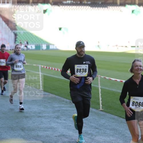 06.10.2024 - 19. swb-Marathon Bremen Yannick Fuchs http://msf.ph/oto/7388744 06.10.2024 10:27:53 Laufen im Stadion 7052, 7094, 7095, 7184, 7198, 7214, 7303, 7364, 7452, 7464, 7560, 7594, 7638, 7647, 7673, 7876, 8066, 8150, 8173, 8185, 8288, 8316, 8351, 8403, 8405, 8456, 8701, 8711, 8716, 8754, 8774, 8801, 8816, 8824, 8827, 8836, 8943, 8980, 9027 meine-sportfotos.de