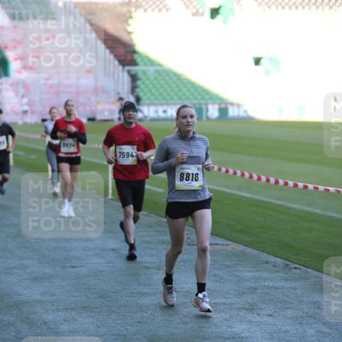06.10.2024 - 19. swb-Marathon Bremen Yannick Fuchs http://msf.ph/oto/7388764 06.10.2024 10:27:53 Laufen im Stadion 7052, 7094, 7095, 7184, 7198, 7214, 7303, 7364, 7452, 7464, 7560, 7594, 7638, 7647, 7673, 7876, 8066, 8150, 8173, 8185, 8288, 8316, 8351, 8403, 8405, 8456, 8701, 8711, 8716, 8754, 8774, 8801, 8816, 8824, 8827, 8836, 8943, 8980, 9027 meine-sportfotos.de