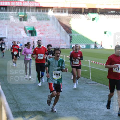 06.10.2024 - 19. swb-Marathon Bremen Yannick Fuchs http://msf.ph/oto/7388893 06.10.2024 10:27:56 Laufen im Stadion 7052, 7094, 7095, 7184, 7198, 7214, 7303, 7364, 7452, 7464, 7594, 7638, 7647, 7673, 7876, 8066, 8173, 8185, 8288, 8316, 8351, 8403, 8405, 8456, 8701, 8711, 8716, 8754, 8774, 8801, 8816, 8824, 8827, 8836, 8943, 8980, 9040 meine-sportfotos.de