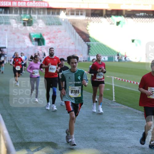 06.10.2024 - 19. swb-Marathon Bremen Yannick Fuchs http://msf.ph/oto/7388901 06.10.2024 10:27:56 Laufen im Stadion 7052, 7094, 7095, 7184, 7198, 7214, 7303, 7364, 7452, 7464, 7594, 7638, 7647, 7673, 7876, 8066, 8173, 8185, 8288, 8316, 8351, 8403, 8405, 8456, 8701, 8711, 8716, 8754, 8774, 8801, 8816, 8824, 8827, 8836, 8943, 8980, 9040 meine-sportfotos.de