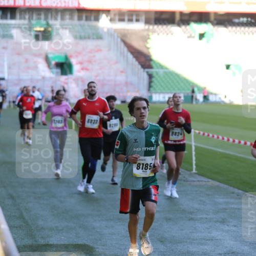 06.10.2024 - 19. swb-Marathon Bremen Yannick Fuchs http://msf.ph/oto/7388925 06.10.2024 10:27:56 Laufen im Stadion 7052, 7094, 7095, 7184, 7198, 7214, 7303, 7364, 7452, 7464, 7594, 7638, 7647, 7673, 7876, 8066, 8173, 8185, 8288, 8316, 8351, 8403, 8405, 8456, 8701, 8711, 8716, 8754, 8774, 8801, 8816, 8824, 8827, 8836, 8943, 8980, 9040 meine-sportfotos.de