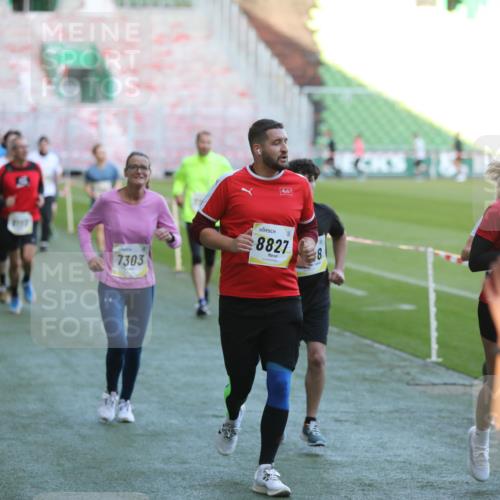 06.10.2024 - 19. swb-Marathon Bremen Yannick Fuchs http://msf.ph/oto/7388971 06.10.2024 10:27:57 Laufen im Stadion 7052, 7094, 7095, 7184, 7198, 7214, 7303, 7364, 7452, 7464, 7594, 7638, 7647, 7673, 7876, 8066, 8173, 8185, 8288, 8316, 8351, 8403, 8405, 8456, 8701, 8711, 8716, 8754, 8774, 8801, 8816, 8824, 8827, 8836, 8891, 8943, 8980, 9040, 9060 meine-sportfotos.de