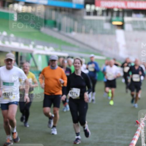 06.10.2024 - 19. swb-Marathon Bremen Yannick Fuchs http://msf.ph/oto/7448732 06.10.2024 10:28:18 Laufen im Stadion 7025, 7041, 7094, 7095, 7195, 7198, 7216, 7217, 7303, 7364, 7402, 7464, 7501, 7511, 7538, 7541, 7568, 7569, 7594, 7697, 7897, 7965, 8066, 8173, 8185, 8261, 8288, 8374, 8403, 8405, 8411, 8456, 8488, 8498, 8526, 8551, 8569, 8711, 8716, 8816, 8824, 8827, 8833, 8836, 8877, 8891, 8966, 9040, 9060 meine-sportfotos.de