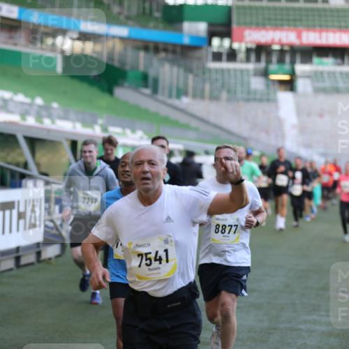 06.10.2024 - 19. swb-Marathon Bremen Yannick Fuchs http://msf.ph/oto/7448755 06.10.2024 10:28:24 Laufen im Stadion 7025, 7041, 7086, 7094, 7095, 7195, 7216, 7217, 7218, 7303, 7364, 7402, 7464, 7501, 7511, 7526, 7538, 7541, 7568, 7569, 7697, 7897, 7965, 8067, 8173, 8261, 8288, 8323, 8334, 8374, 8403, 8405, 8411, 8456, 8488, 8498, 8526, 8551, 8569, 8711, 8716, 8816, 8824, 8827, 8833, 8877, 8891, 8966, 8968, 8991, 9040, 9060 meine-sportfotos.de