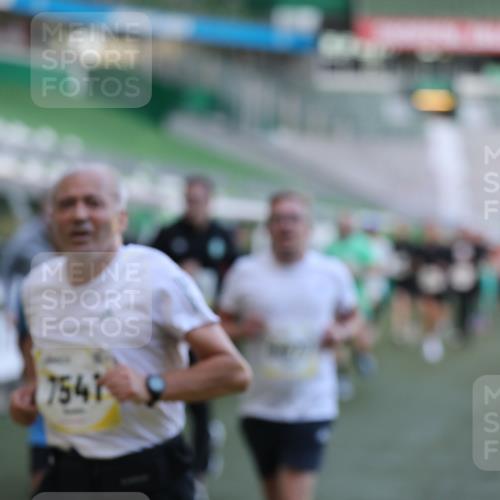 06.10.2024 - 19. swb-Marathon Bremen Yannick Fuchs http://msf.ph/oto/7448759 06.10.2024 10:28:25 Laufen im Stadion 7025, 7041, 7086, 7094, 7095, 7195, 7216, 7217, 7218, 7303, 7364, 7402, 7464, 7501, 7511, 7526, 7538, 7541, 7568, 7569, 7697, 7897, 7965, 8067, 8173, 8261, 8288, 8323, 8334, 8374, 8403, 8405, 8411, 8456, 8488, 8498, 8526, 8551, 8569, 8711, 8716, 8824, 8827, 8833, 8877, 8891, 8966, 8968, 8991, 9040, 9060 meine-sportfotos.de