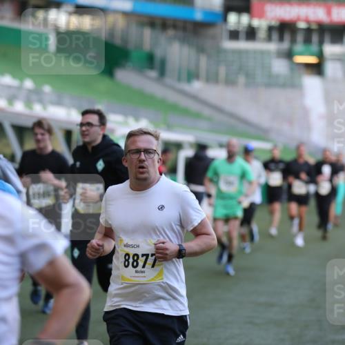 06.10.2024 - 19. swb-Marathon Bremen Yannick Fuchs http://msf.ph/oto/7448760 06.10.2024 10:28:25 Laufen im Stadion 7025, 7041, 7086, 7094, 7095, 7195, 7216, 7217, 7218, 7303, 7364, 7402, 7464, 7501, 7511, 7526, 7538, 7541, 7568, 7569, 7697, 7897, 7965, 8067, 8173, 8261, 8288, 8323, 8334, 8374, 8403, 8405, 8411, 8456, 8488, 8498, 8526, 8551, 8569, 8711, 8716, 8824, 8827, 8833, 8877, 8891, 8966, 8968, 8991, 9040, 9060 meine-sportfotos.de