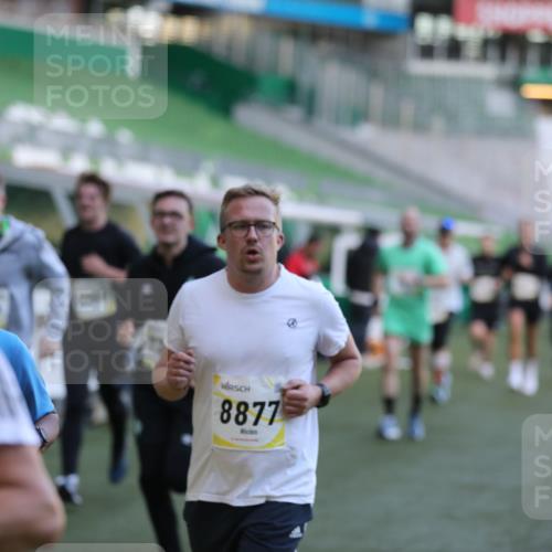 06.10.2024 - 19. swb-Marathon Bremen Yannick Fuchs http://msf.ph/oto/7448761 06.10.2024 10:28:26 Laufen im Stadion 7025, 7041, 7086, 7094, 7095, 7195, 7216, 7217, 7218, 7303, 7364, 7402, 7464, 7501, 7511, 7526, 7538, 7541, 7568, 7569, 7697, 7897, 7965, 8067, 8173, 8261, 8288, 8323, 8334, 8374, 8403, 8405, 8411, 8456, 8488, 8498, 8526, 8551, 8569, 8711, 8716, 8833, 8877, 8891, 8966, 8968, 8991, 9040, 9060 meine-sportfotos.de