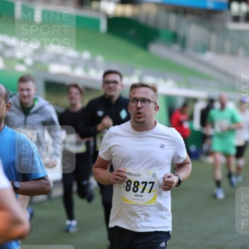 06.10.2024 - 19. swb-Marathon Bremen Yannick Fuchs http://msf.ph/oto/7448762 06.10.2024 10:28:26 Laufen im Stadion 7025, 7041, 7086, 7094, 7095, 7195, 7216, 7217, 7218, 7303, 7364, 7402, 7464, 7501, 7511, 7526, 7538, 7541, 7568, 7569, 7697, 7897, 7965, 8067, 8173, 8261, 8288, 8323, 8334, 8374, 8403, 8405, 8411, 8456, 8488, 8498, 8526, 8551, 8569, 8711, 8716, 8833, 8877, 8891, 8966, 8968, 8991, 9040, 9060 meine-sportfotos.de